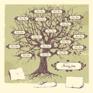 Genealogy (Study of Family & tracing Lineage History)